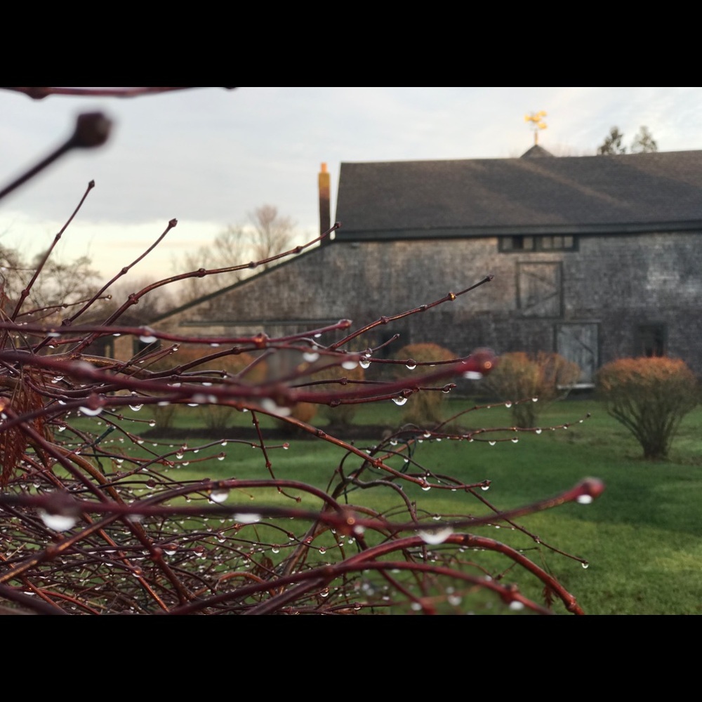 Meet your Posher: SKK